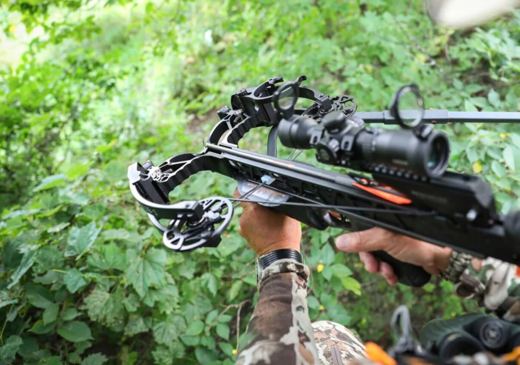 In the Market for the Best Crossbow? Read This First