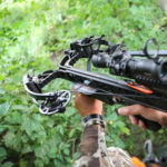 In the Market for the Best Crossbow? Read This First