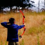 Start Off Right: The Best Beginner Bows for Hunting